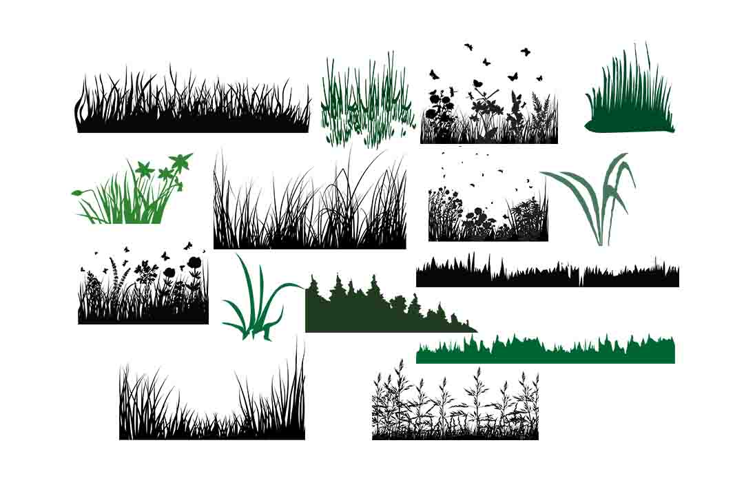 Grass Silhouette: A Versatile Resource for Designers and Creatives